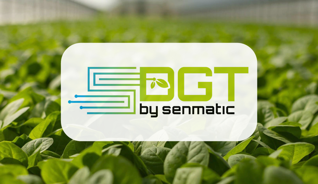 Sitetech | Services SGT by Senmatic logo on greenhouse crops background