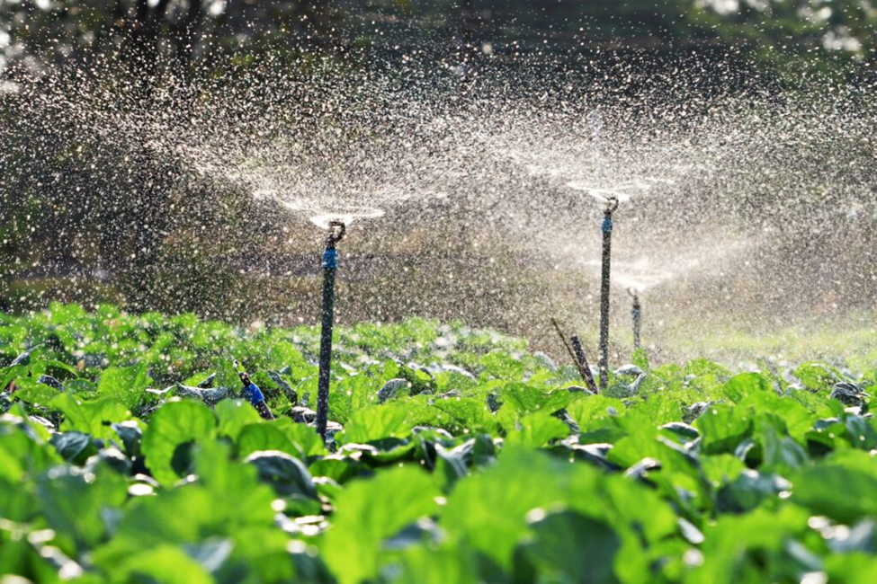 Sitetech | Sprinkler Irrigation System Design for Large Agricultural Fields Sprinkler Irrigation Design
