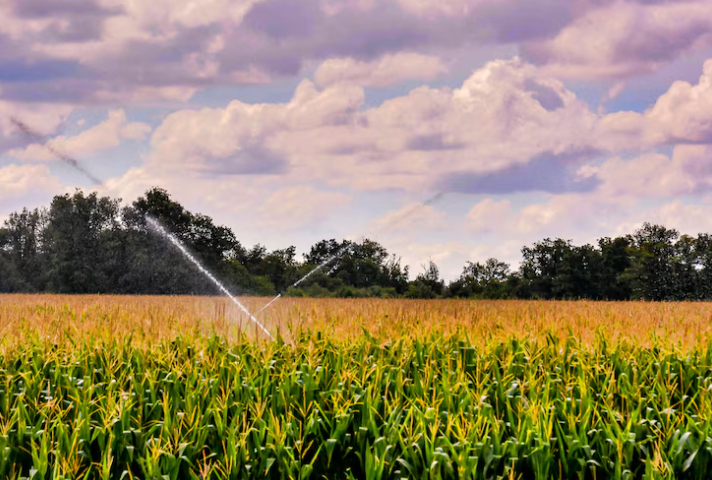 Sitetech | What Does an Irrigation Systems Company Actually Do? Full Guide for Farmers and Businesses Irrigation Systems Company