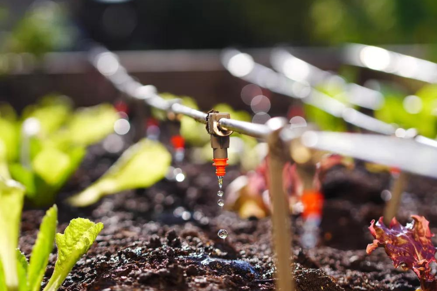 Agricultural Drip Irrigation System